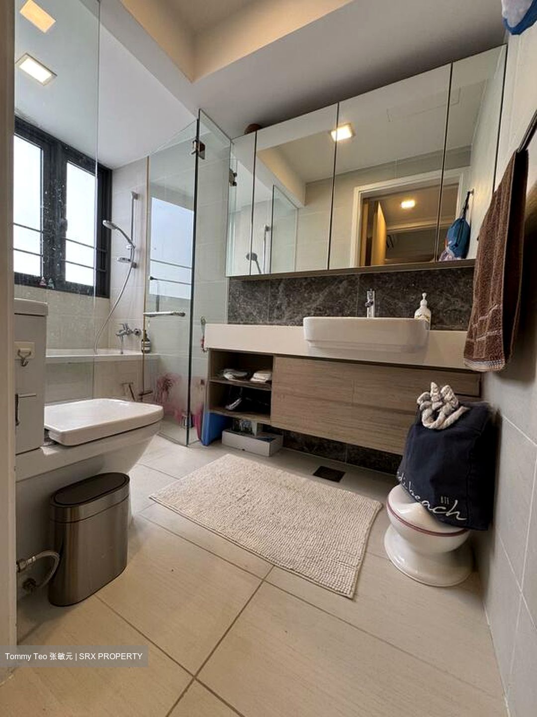 The Lakefront Residences (D22), Condominium #507588851